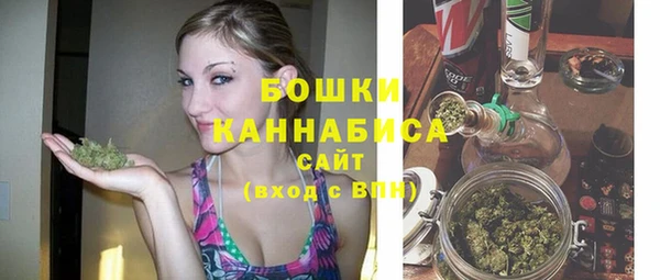 прущий лед Ельня