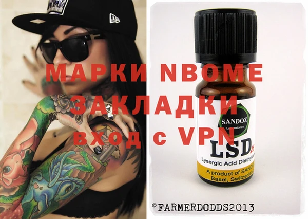 шишки Елизово
