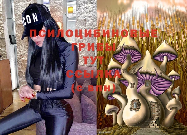 mix Елабуга