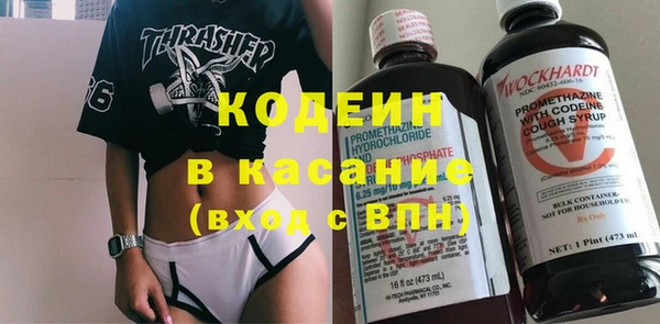 прущие крисы Заводоуковск