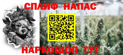 мяу мяу мука Аргун