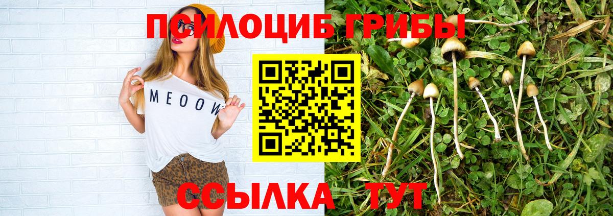 Псилоцибиновые грибы GOLDEN TEACHER  Вход с VPN  Псилоцибиновые грибы мицелий  Северобайкальск 