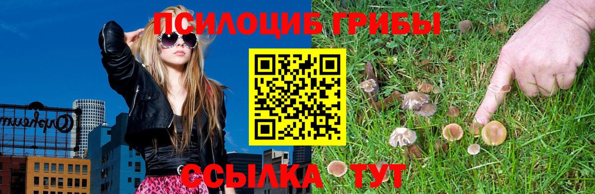 Псилоцибиновые грибы Cubensis Северобайкальск